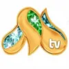 Milliy TV UZ