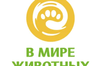 В мире животных