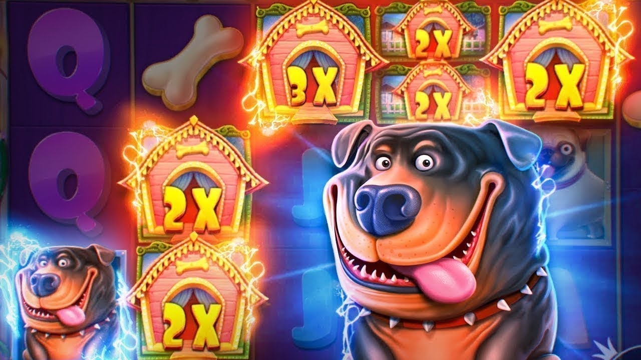 Бонусы и фриспины